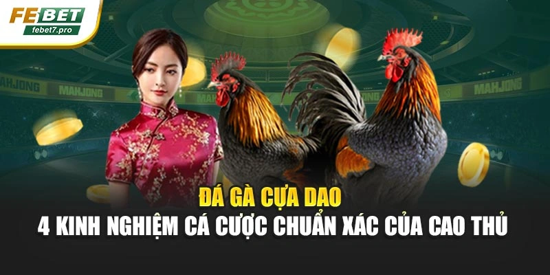 Đá Gà Cựa Dao – 4 Kinh Nghiệm Cá Cược Chuẩn Xác Của Cao Thủ