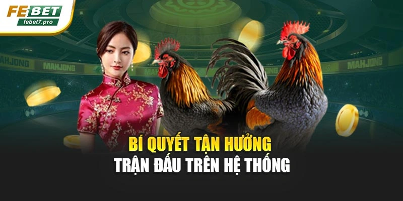 Bí quyết tận hưởng trận đấu trên hệ thống