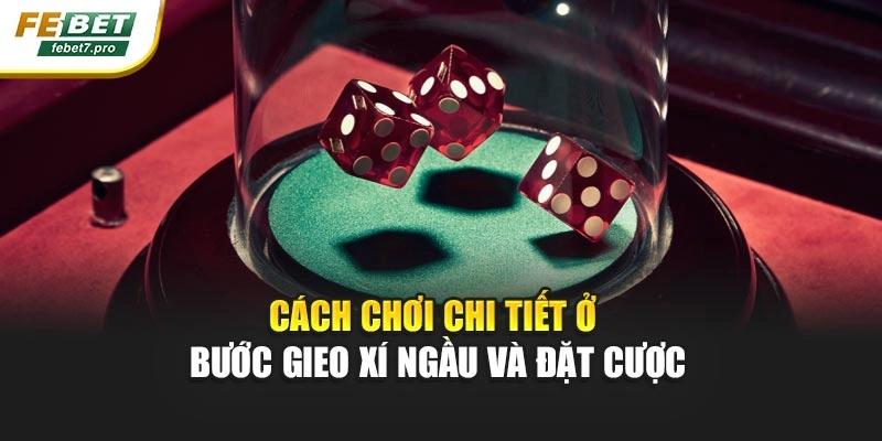 Cách chơi chi tiết ở bước gieo xí ngầu và đặt cược