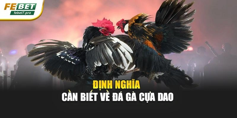 Định nghĩa cần biết về đá gà cựa dao